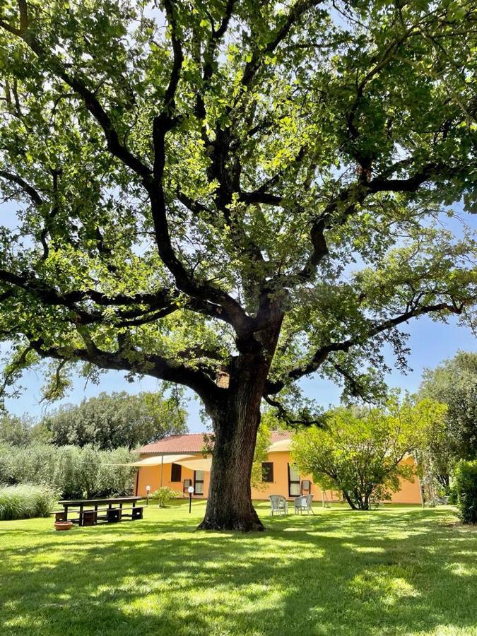 Agriturismo I Tre Fossi Magliano in Toscana Luaran gambar