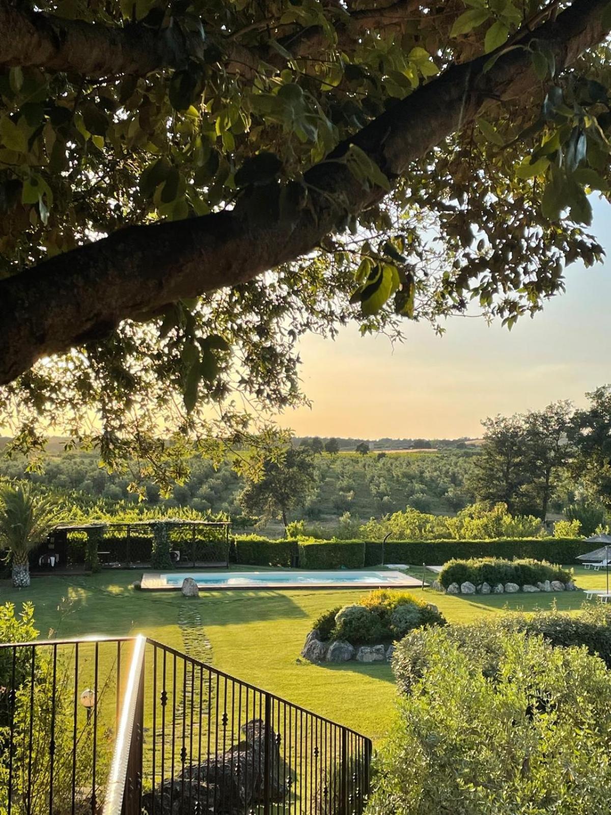 Agriturismo I Tre Fossi Magliano in Toscana Luaran gambar